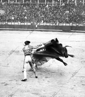 El diestro Francisco posada Toreando de capa A su primer Toro