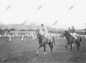 El Caballo "Titanic", ganador del gran premio de Madrid en la tarde de ayer