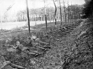 Soldados Alemanes en el bosque de Argonne Disparando contra el Enemigo