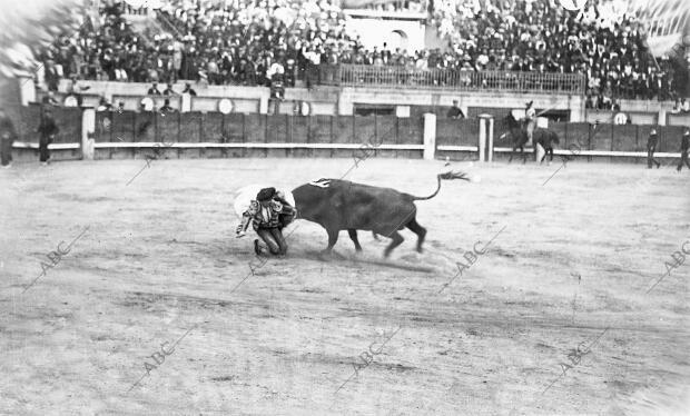 El diestro Diego Mazquiaran (Fortuna) Es cogido por su segundo Toro en la...