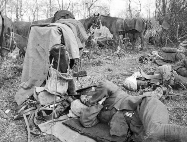 Tropas de caballería Inglesa durante un breve descanso en un campamento...