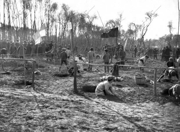 Aspecto que ofrecía el soto de Almozara durante la plantación que realizaron los...