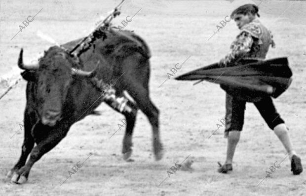 Belmonte en la faena de su primer Toro