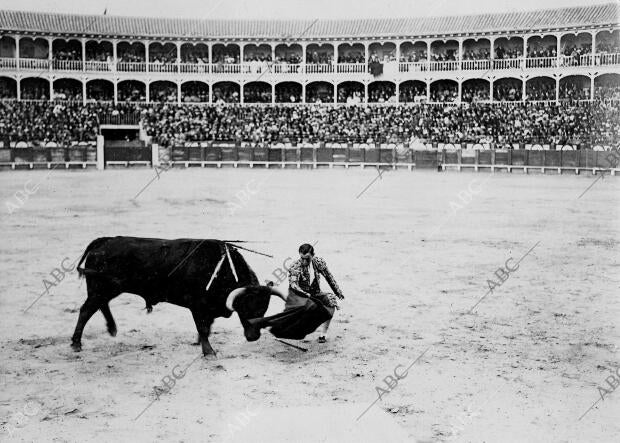 Joselito gallo en su primer Toro