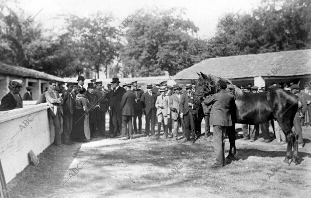 Inauguración del concurso regional de ganado Caballar de Tiro, Celebrada el...