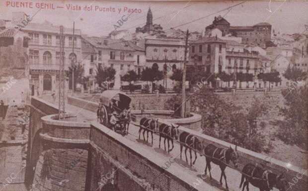 Casino Liceo - mercantil de puente Genil