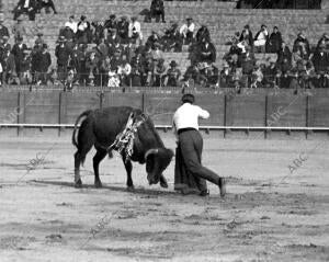 Belmonte Entrando A matar en la fiesta del domingo último