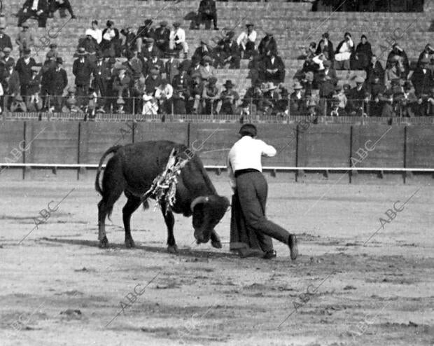 Belmonte Entrando A matar en la fiesta del domingo último