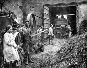 La Paz en la Guerra - Reservistas Franceses Ocupados en las Labores Agricolas de...