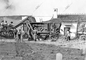 Detalle de la explotación agrícola Sánchez Dalp