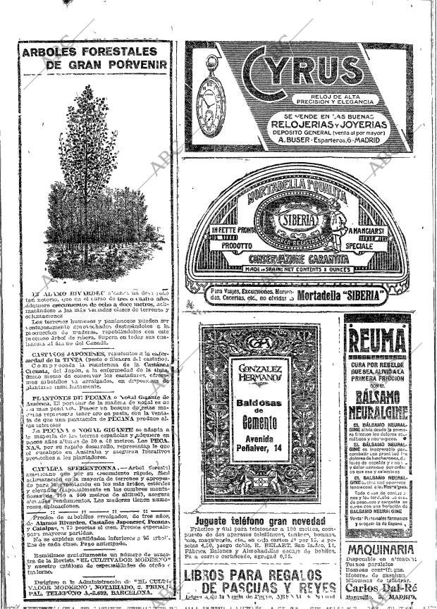 ABC MADRID 29-12-1917 página 24