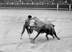 De la corrida de Toros de ayer en Madrid