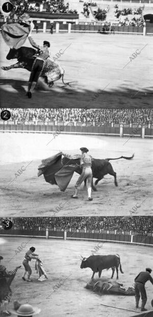 De la corrida de Toros de ayer en Madrid