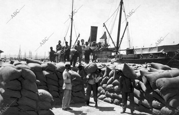 Desembarque de 5000 Sacos de Trigo, que Han llegado A punto para remediar la...