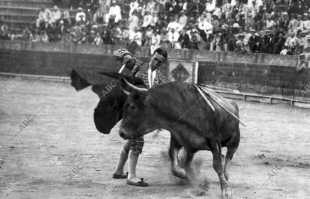 El diestro Sánchez Mejías dando un pase ayudado al toro que le cogió y que le...