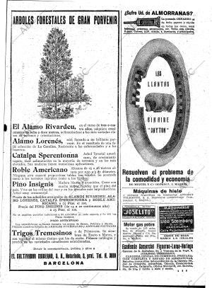 ABC MADRID 19-01-1919 página 31