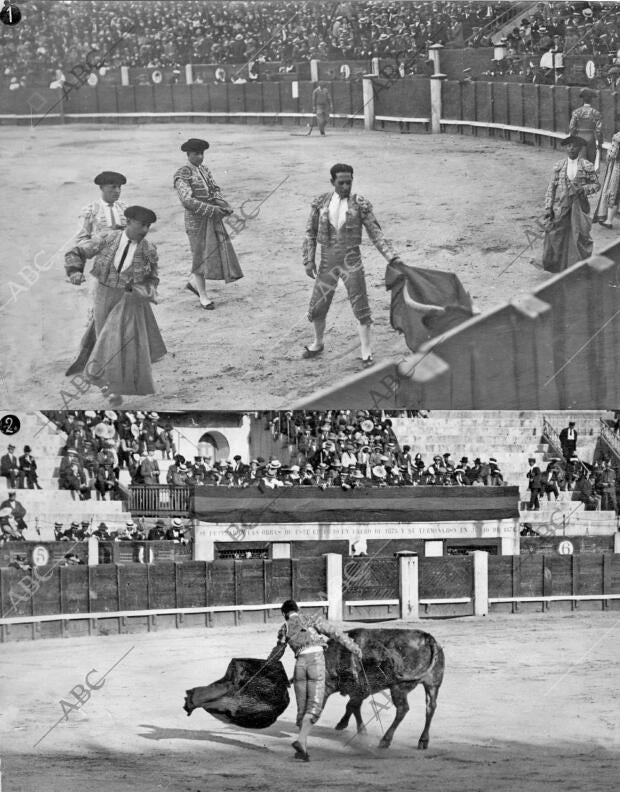 Celita Preparando A su primer Toro para la Puntilla