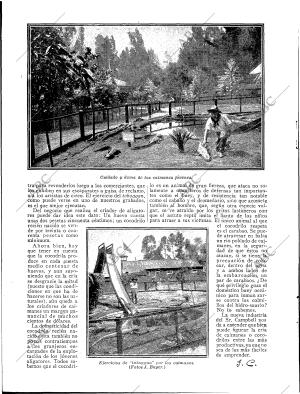 BLANCO Y NEGRO MADRID 15-06-1919 página 52