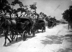 Fila de coches de caballos por las calles de Madrid