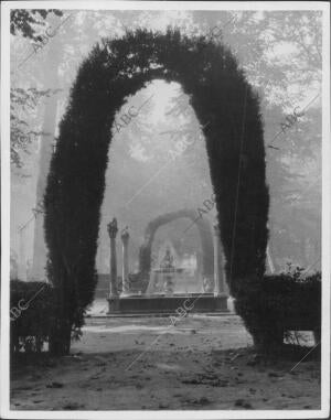 Contra luz y niebla el Jardin de la Isla