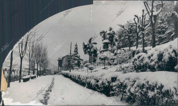 Vista de un jardín de Eibar completamente cubierto de nieve