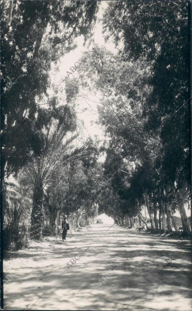 Camino que Conduce A la playa de isla Cristina