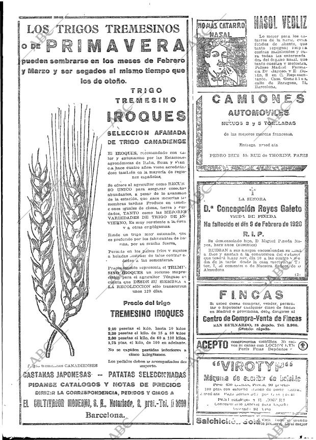 ABC MADRID 10-02-1920 página 19