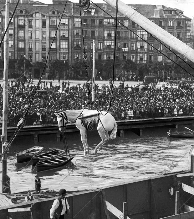 El Publico en el muelle Presenciando el embarque del ganado del regimiento de...