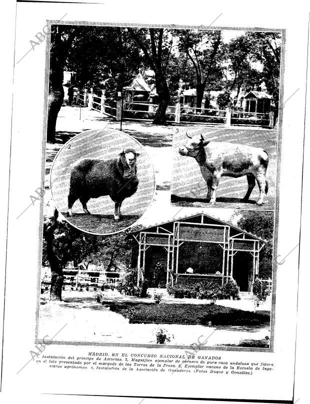 BLANCO Y NEGRO MADRID 04-06-1922 página 17