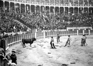 El Publico Arrojando Almohadillas al Redondel, durante la Ruidosa protesta...