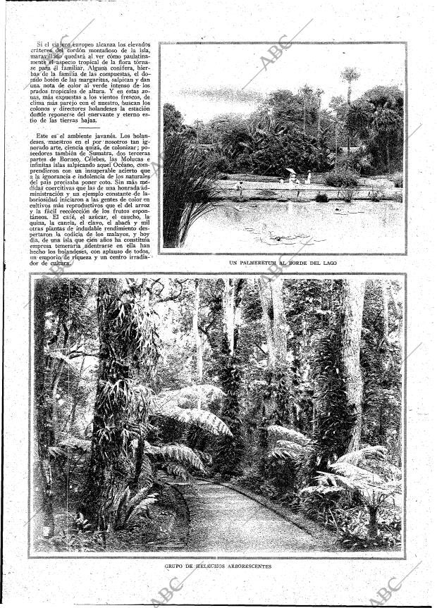 ABC MADRID 04-03-1923 página 5