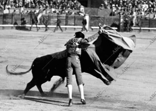 Zurito Toreando de capa en la novillada de ayer en la plaza de Toros de Madrid