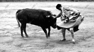 Posada Rematando un quite en la novillada de ayer en la plaza de Toros de Madrid