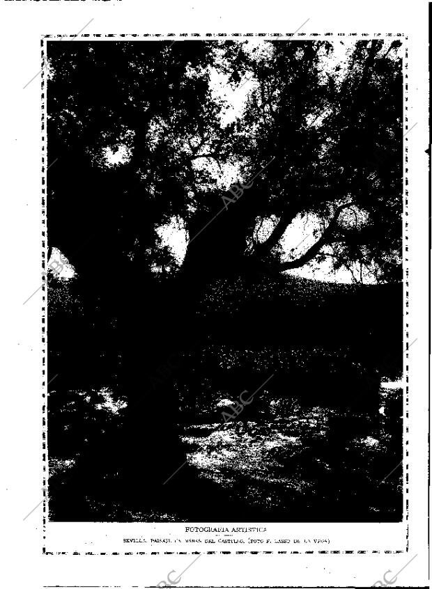 ABC MADRID 03-02-1924 página 6