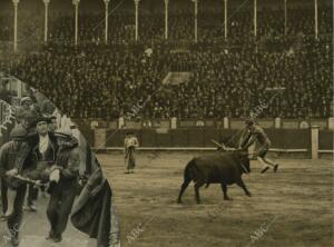 Cogida del diestro Emilio F. Prieto por el segundo toro