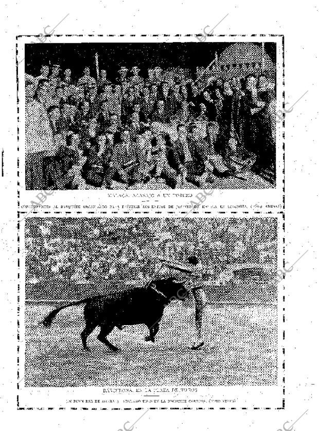 ABC MADRID 23-07-1924 página 31