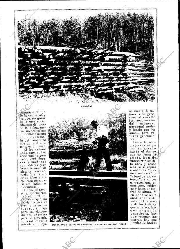 BLANCO Y NEGRO MADRID 01-02-1925 página 46