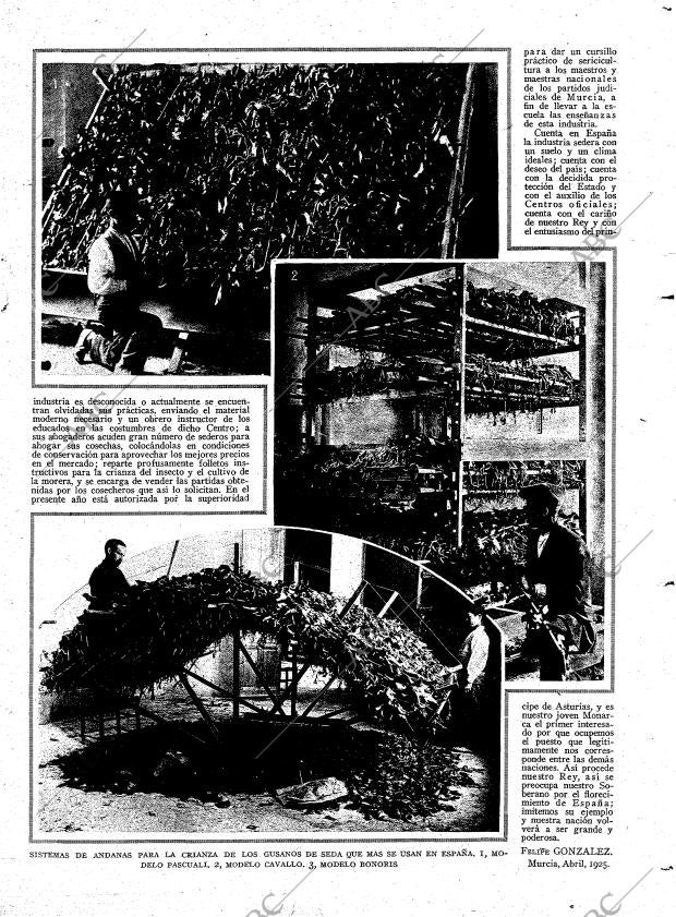 ABC MADRID 19-04-1925 página 9