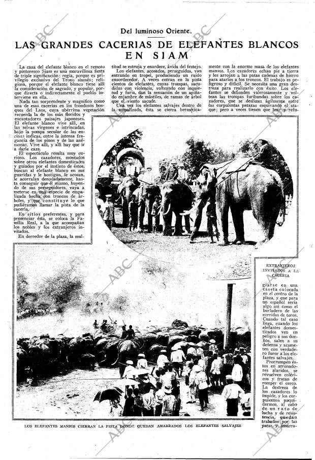 ABC MADRID 03-05-1925 página 11