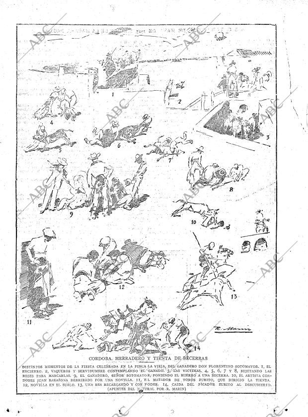 ABC MADRID 23-05-1925 página 17