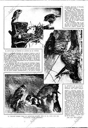 ABC MADRID 24-05-1925 página 10