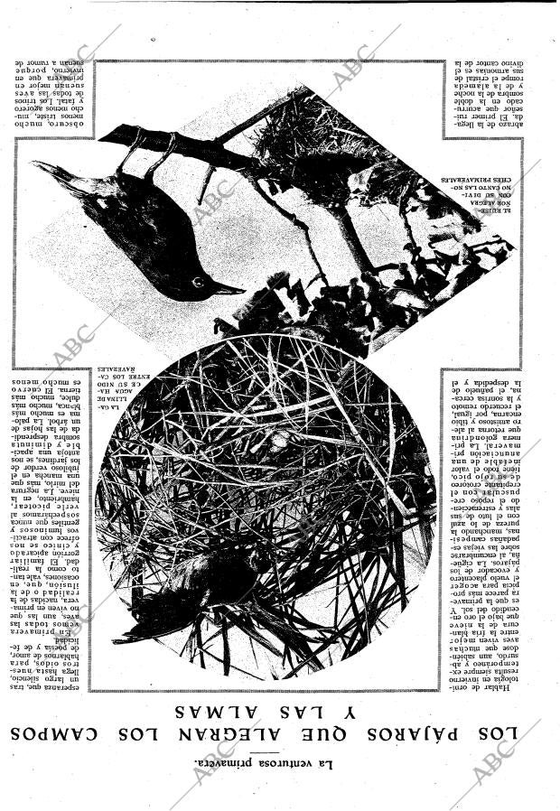 ABC MADRID 24-05-1925 página 9