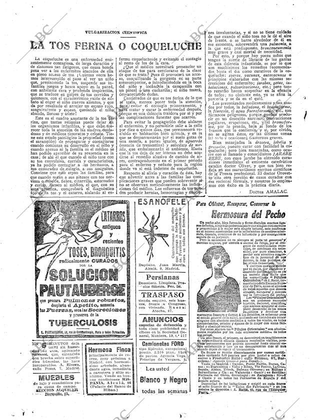 ABC MADRID 11-06-1925 página 36