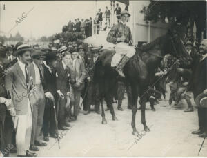 El caballo «Mussolini», del Barón de Velasco, que ganó el Gran Premio de Madrid