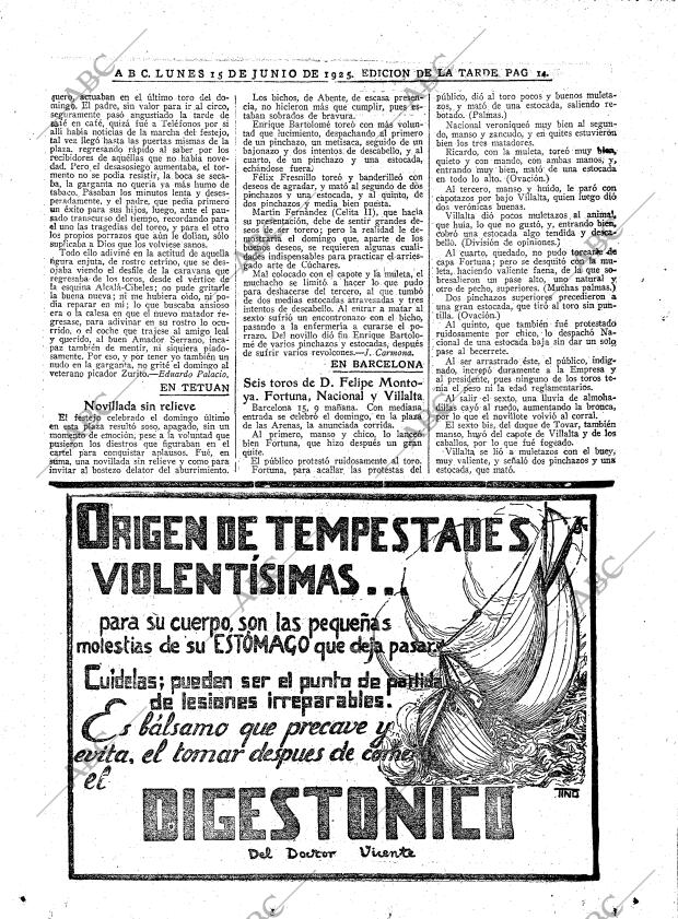 ABC MADRID 15-06-1925 página 14