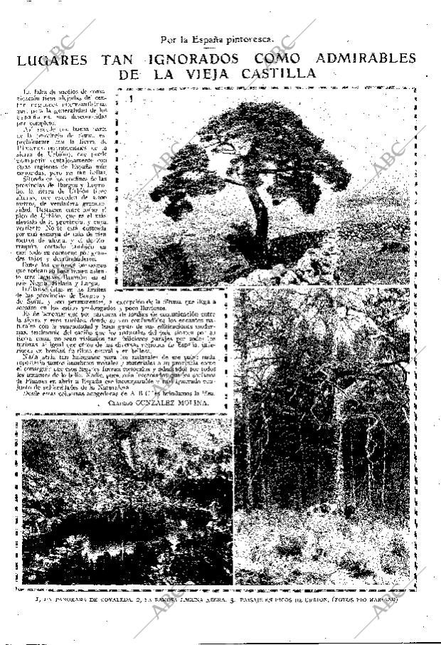 ABC MADRID 19-07-1925 página 11