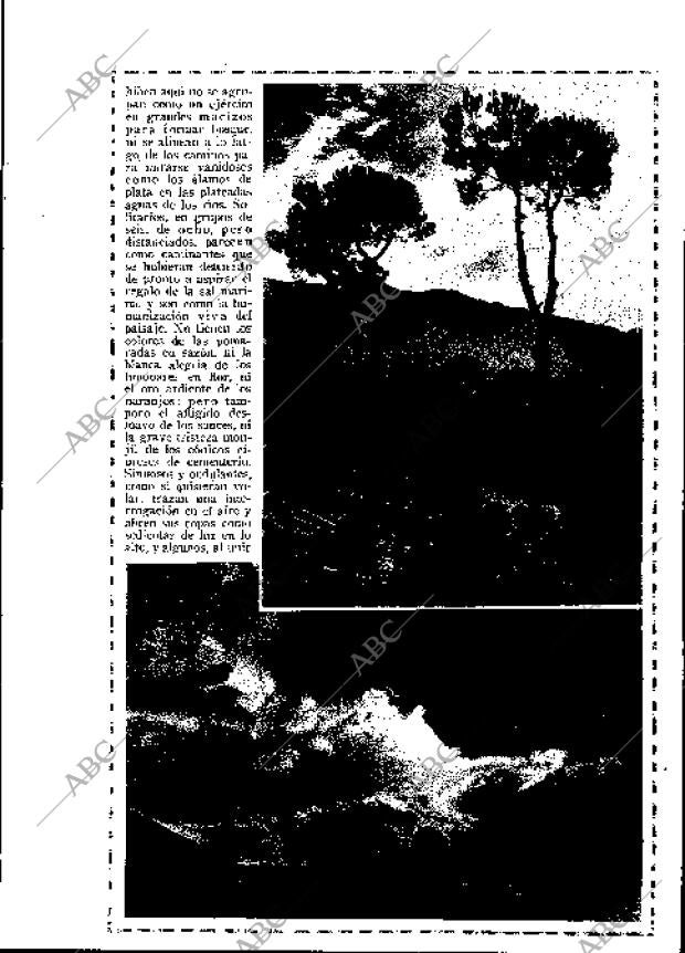 BLANCO Y NEGRO MADRID 26-07-1925 página 21