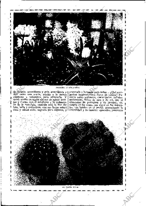 BLANCO Y NEGRO MADRID 01-11-1925 página 28