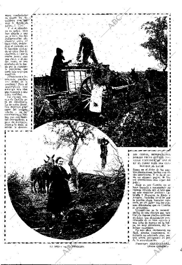ABC MADRID 15-11-1925 página 7