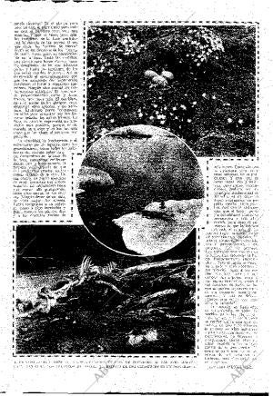 ABC MADRID 27-12-1925 página 11